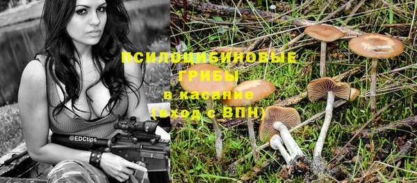 не бодяженный Володарск