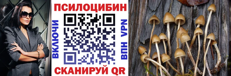 Купить закладки  Туран  Галлюциногенные грибы Cubensis 